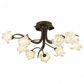 Потолочная люстра Odeon Light Iris 1372/9