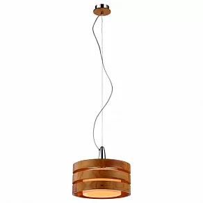 Подвесной светильник Arte Lamp Ring A1326SP-1CC