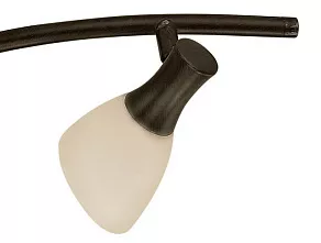 Спот Eglo Ona 87481