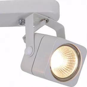 Спот Arte Lamp Lente A1314PL-2WH