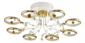 Накладной светильник Odeon Light Fiuggi 4036/48L