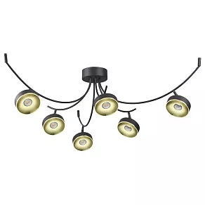 Потолочная люстра Odeon Light Fineca 3812/42CL