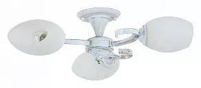 Люстра на штанге Rivoli Vitto Б0044464