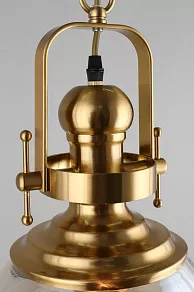 Подвесной светильник Aployt Darunia APL.629.16.01