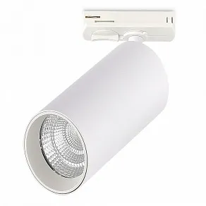 Светильник на штанге ST-Luce ST382 ST382.546.20.TRIAC