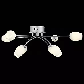 Потолочная люстра ST-Luce Luna SL478.102.08