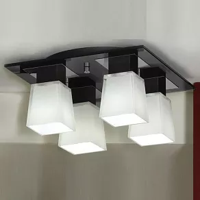 Накладной светильник Lussole Lente LSC-2507-04