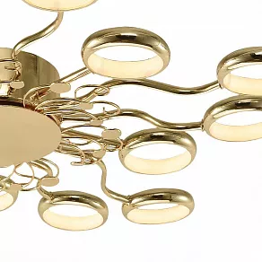 Потолочная люстра Favourite Dominium 2321-15C