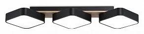 Накладной светильник Ambrella Light FL FL4878