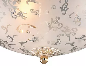 Накладной светильник Odeon Light Corbea 2670/3C