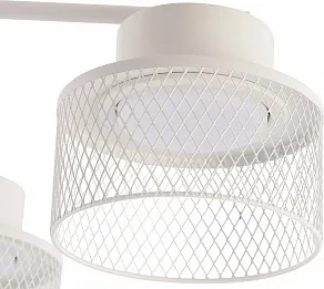 Люстра на штанге Rivoli Mona 9194-306