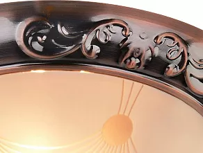 Накладной светильник Arte Lamp Alta A3014PL-2AC