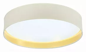 Накладной светильник EVOLUCE Brescia SLE300552-01