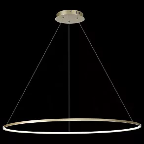 Подвесной светильник ST-Luce Erto SL904.223.01