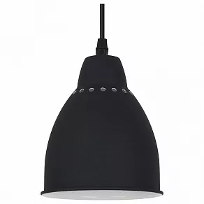 Подвесной светильник Arte Lamp Braccio A2054SP-1BK