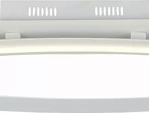 Накладной светильник ST-Luce SL920 SL920.102.01