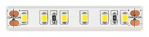 Лента светодиодная ST-Luce ST1001 ST1001.310.65