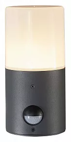 Светильник на штанге Escada Pair 581/1A
