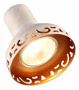 Спот Arte Lamp Focus A5219AP-2WG