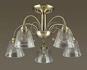 Люстра на штанге Lumion Hortensa 3289/5C