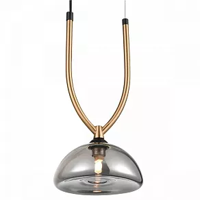 Подвесной светильник Vele Luce Cloe VL5434P01