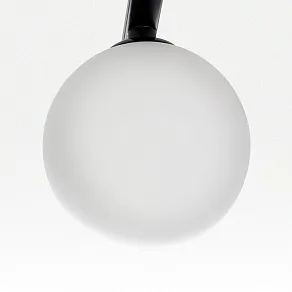 Потолочная люстра Citilux Glob CL209261