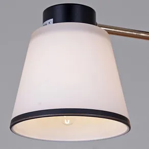 Люстра на штанге Reluce  30560-0.3-03 BK+FG