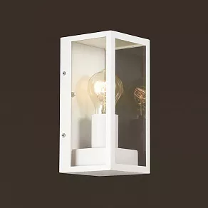 Накладной светильник Odeon Light Argos 4166/1W