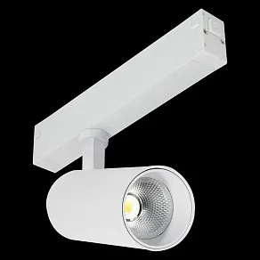 Светильник на штанге ST-Luce ST660 ST660.596.20