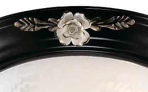 Накладной светильник Odeon Light Bone 2693/2C
