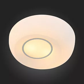 Накладной светильник ST-Luce Botone SL467.502.02