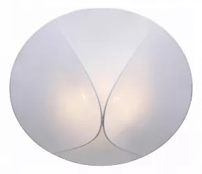 Накладной светильник ST-Luce Tonico SL360.552.02