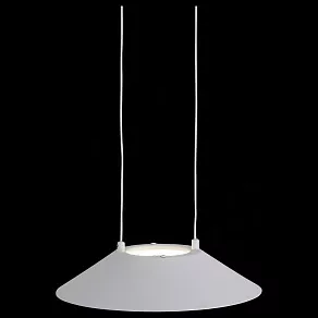 Подвесной светильник ST-Luce Pitto SL427.503.01