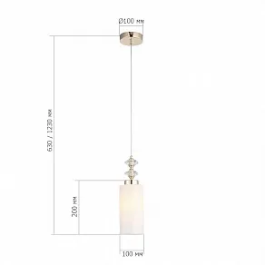 Подвесной светильник ST-Luce Elegra SL1402.253.01