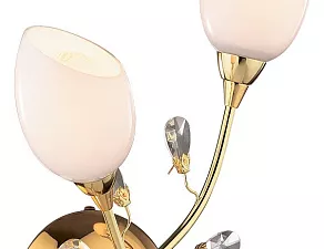 Бра Odeon Light Fiera 1604/2W
