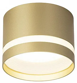 Накладной светильник Citilux Hardy CL002C12
