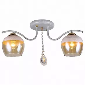 Накладной светильник TopLight Bertha TL1254D-02BG