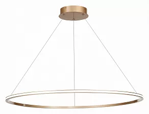 Подвесной светильник ST-Luce ST604 OUT ST604.243.46