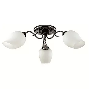 Потолочная люстра Lumion Rondina 3076/3C