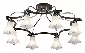 Потолочная люстра Odeon Light Iwo 2237/8С
