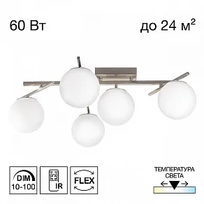 Потолочная люстра Citilux Dorsy CL223151