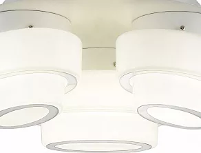 Накладной светильник ST-Luce Ovale SL546.502.03