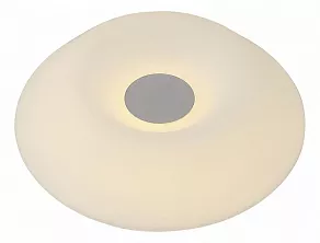 Накладной светильник ST-Luce 557 SL557.052.01