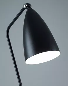 Торшер Moderli Show V10999-F