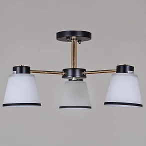 Люстра на штанге Reluce  30560-0.3-03 BK+FG