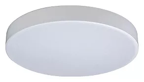Накладной светильник Loft it Axel 1 10002/24 White