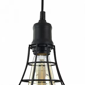 Подвесной светильник Maytoni Denver T449-PL-01-B