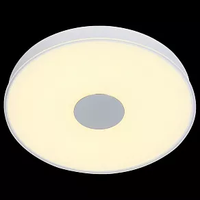 Накладной светильник ST-Luce Semplicita SL473.502.01