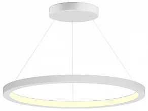 Подвесной светильник 6063 Обод 0521902