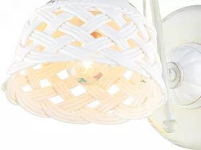 Бра Arte Lamp Wicker A6616AP-1WG